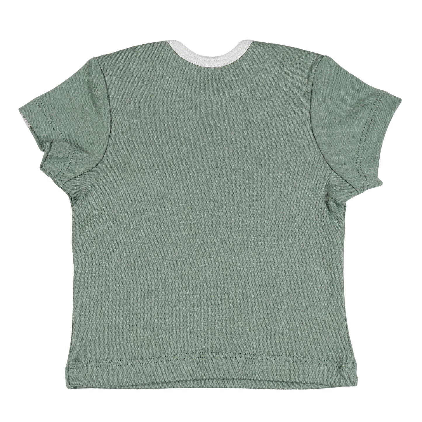 HALF SLEEVE TSHIRT- SAGE GREEN - ITSYBOO