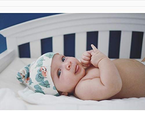 CAP- CRAFTY FOX - ITSYBOO