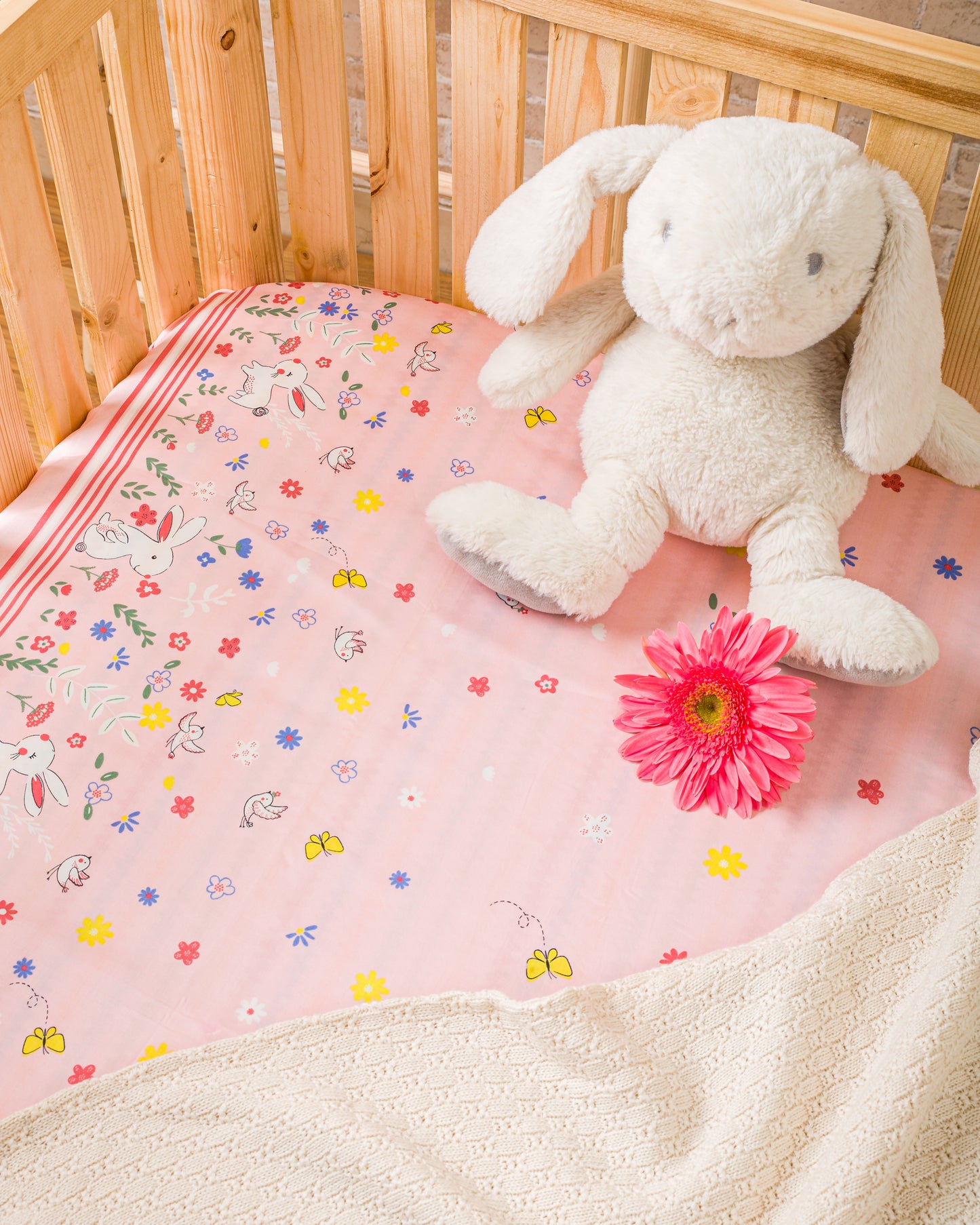 COT SHEET - RABBIT