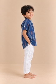 Blue Ikkat Print Kurta