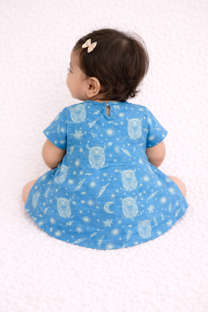 Organic Cotton Baby Dress Owl Print - ITSYBOO